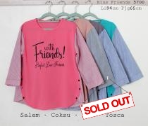 Blus Friends 3700 