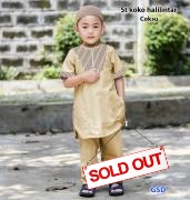 St koko halilintar coksu